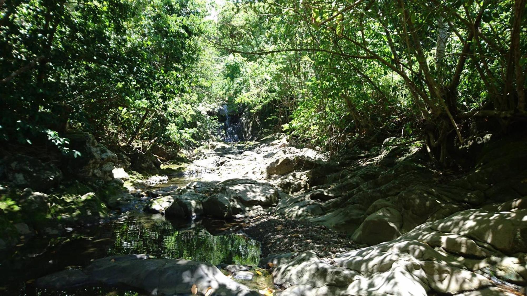 Awmony'Kaz, Gite A Trois-Rivieres Guadeloupe Экстерьер фото