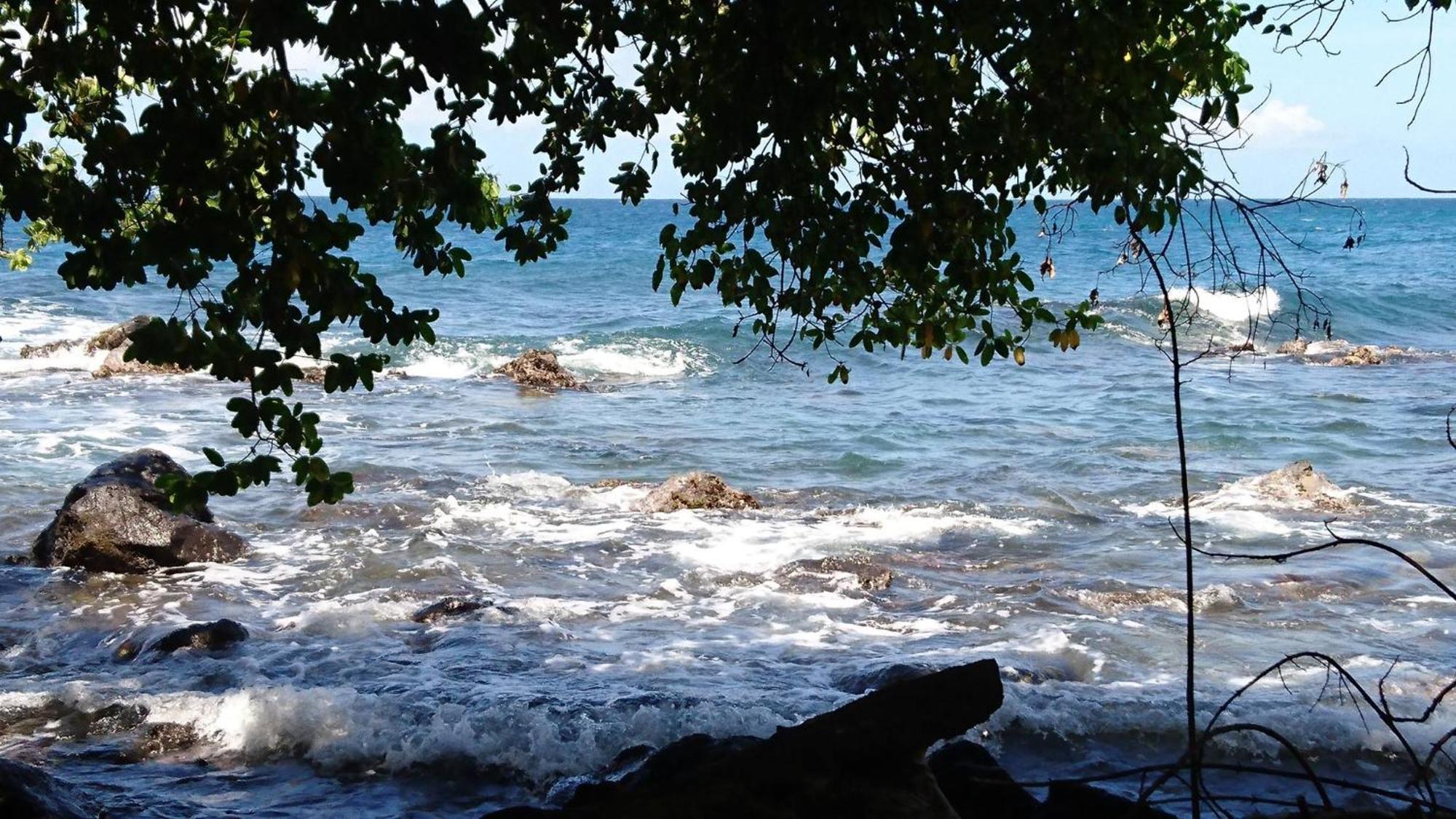Awmony'Kaz, Gite A Trois-Rivieres Guadeloupe Экстерьер фото